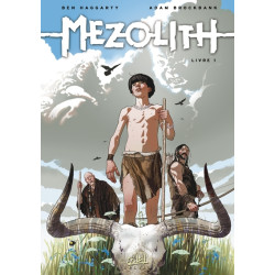 Mezolith T01