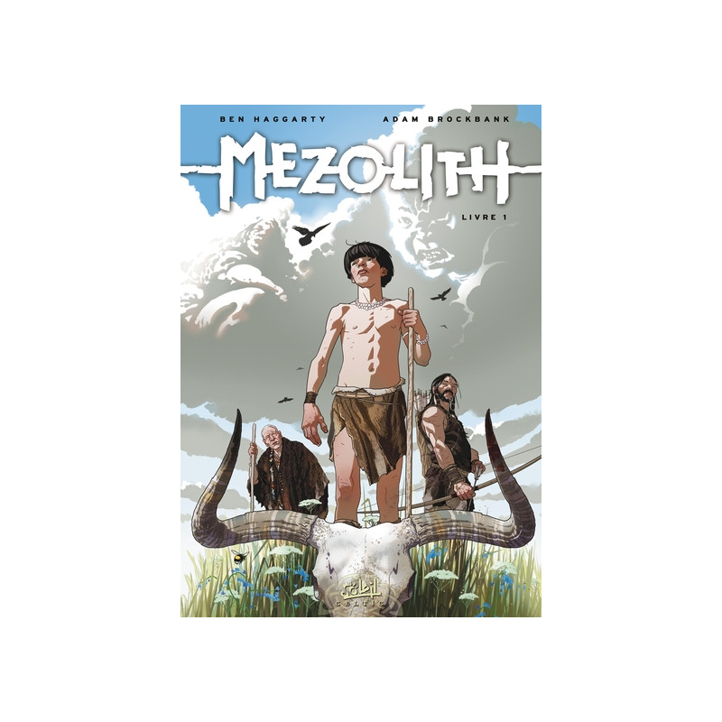 Mezolith T01