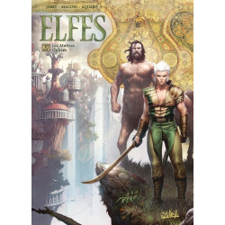 Elfes T27 - Les Maîtres Ogham