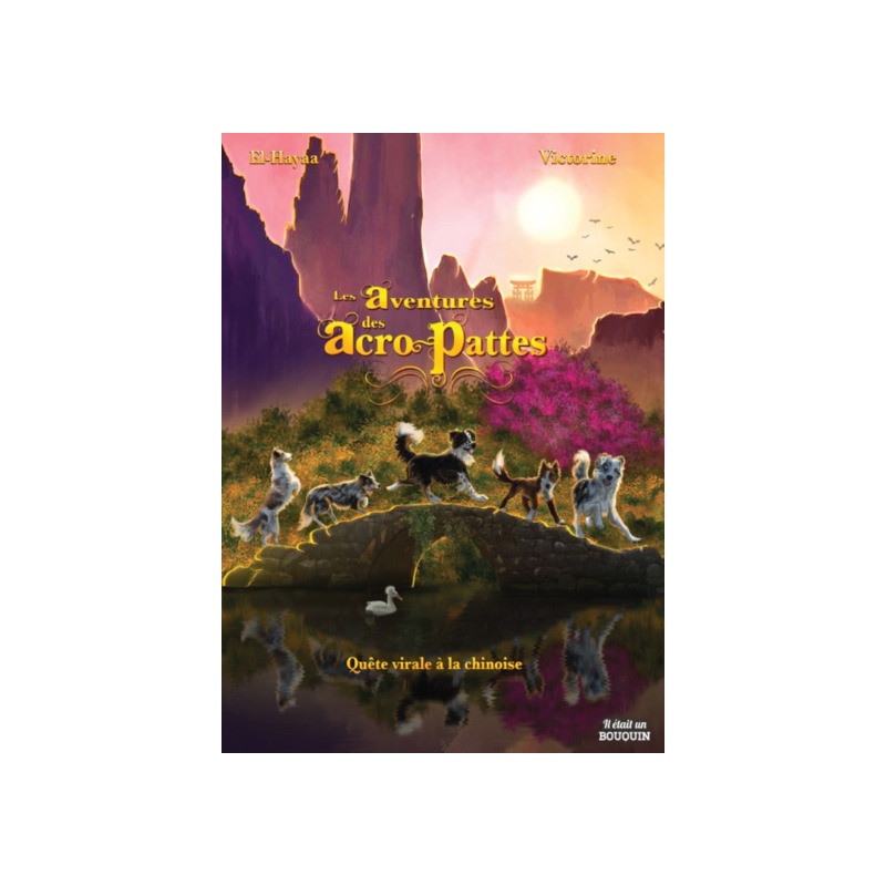 LES AVENTURES DES ACRO-PATTES 1 : QUETE VIRALE A LA CHINOISE