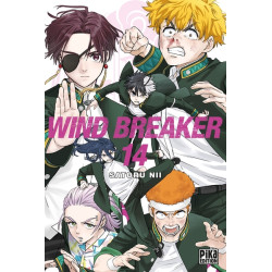 Wind Breaker T14