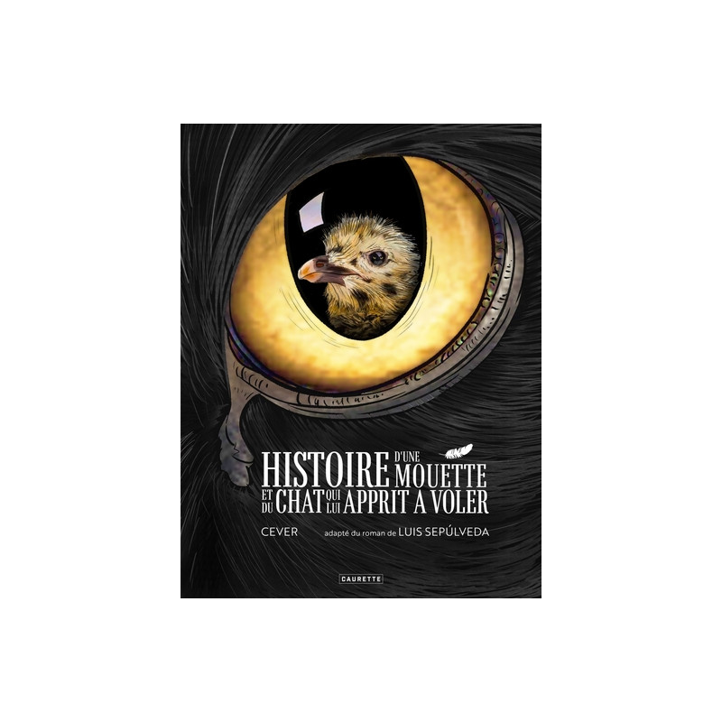Histoire d'une mouette et du chat qui lui apprit à voler