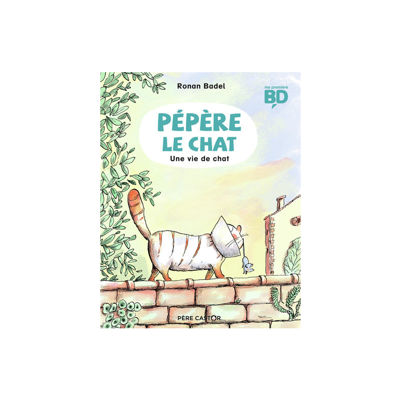 Une vie de chat
