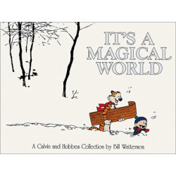 CALVIN & HOBBES It's a...