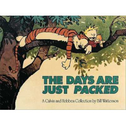 CALVIN & HOBBES The days...