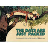 CALVIN & HOBBES The days are just packed