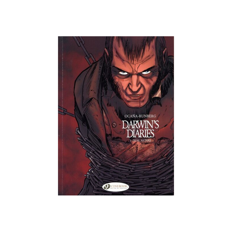 XIII - tome 17 The irish version